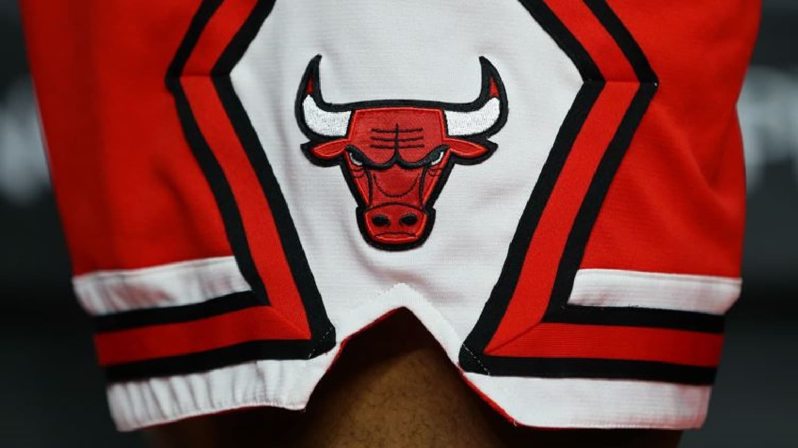 Bulls have hired a new head coach