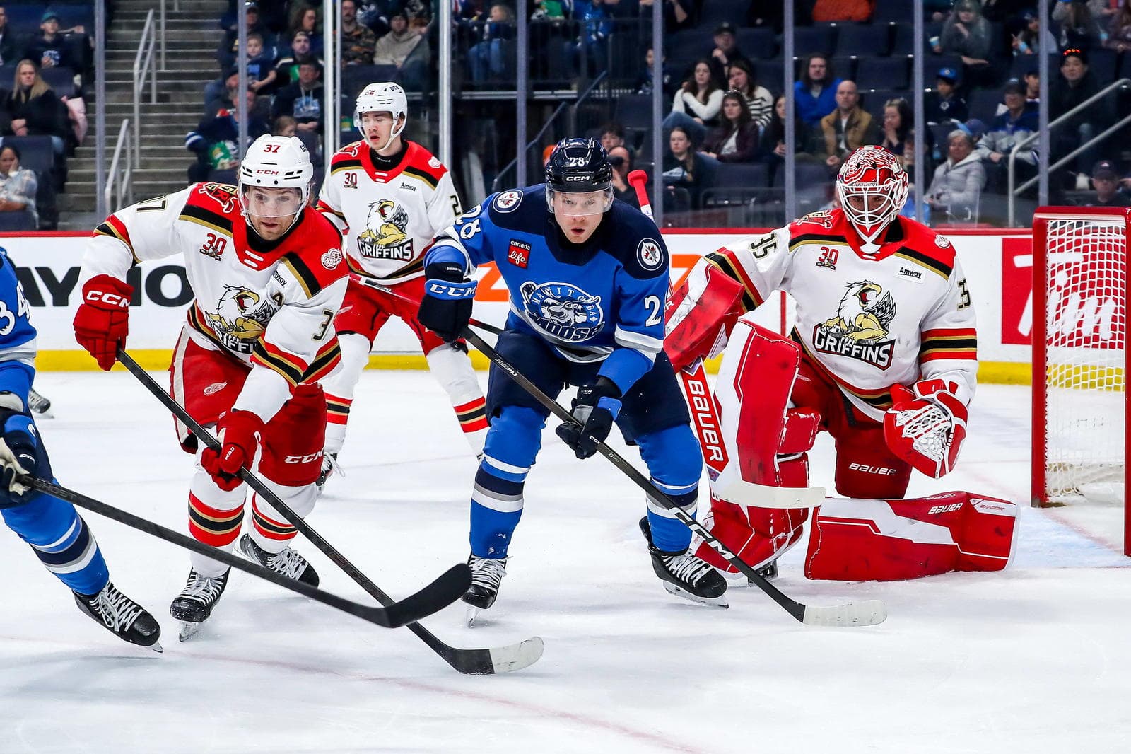 Detroit AHL Griffins Kick Off AHL Playoffs Saturday vs Manitoba Moose