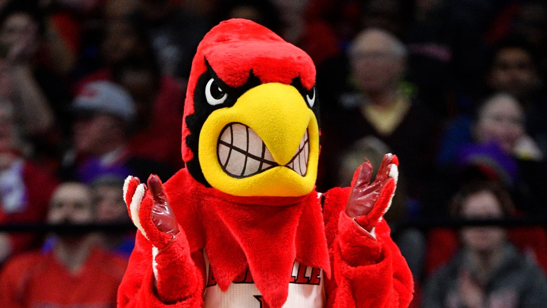 Reports: Louisville, Michigan agree to two-year neutral site series | whas11.com